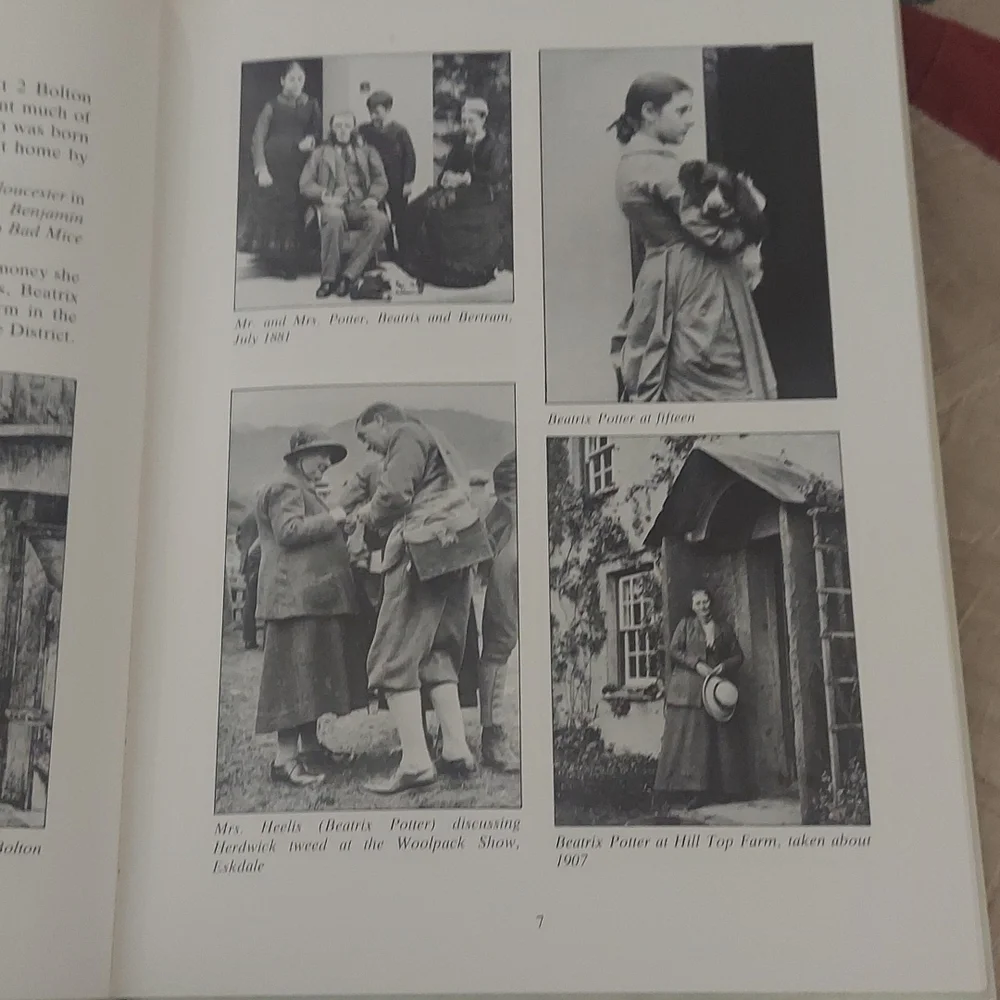 The Big Peter Rabbit Book - Picture 11 of 16